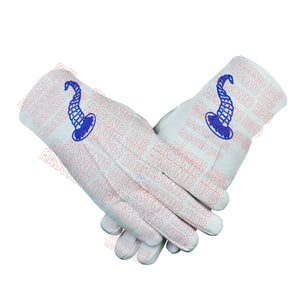 Masonic Junior Steward Apron Set with Chain Collar & Gloves - Blue Lodge Officer Regalia Masonic Hub
