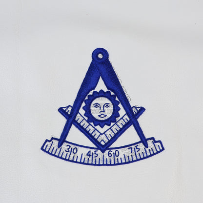 Texas Past Master Masonic Apron