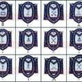 Masonic Blue Lodge Officer Apron Set – 12 Piece 100% Lambskin Regalia with Embroidered Border Masonic Hub